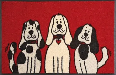 Produktbild von [WASH+DRY029949] 11862260 (40 x 60cm)