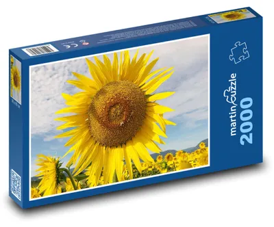 Obrázok produktu pre martinpuzzle - Puzzle 2000 - Slnecnice