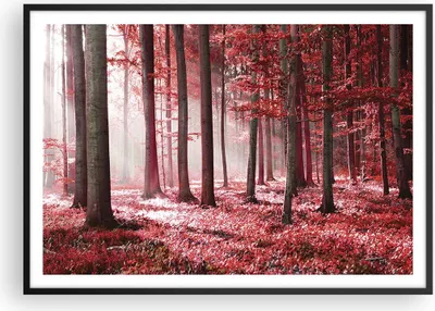 Produktbild von Gerahmtes Poster - Schwarzer Rahmen - Wald Rot Bäume - 100x70 cm - Wand Bild - Wanddeko - Wandbilder - Kunstposter - Wandposter - Bilderrahmen - Bilder - Kunstdruck - Wanddekoration - P2BAA100x70-4944