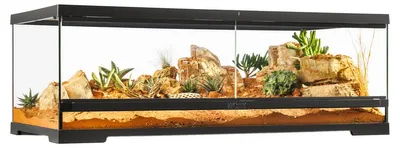 Produktbild von Exo Terra Pro Terrarium L Low Terrarium 90x45x30cm Golden 90x45x30 cm Golden 90x45x30 cm