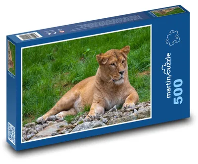 Obrázok produktu pre Puzzle 500 Levice v prírode - martinpuzzle