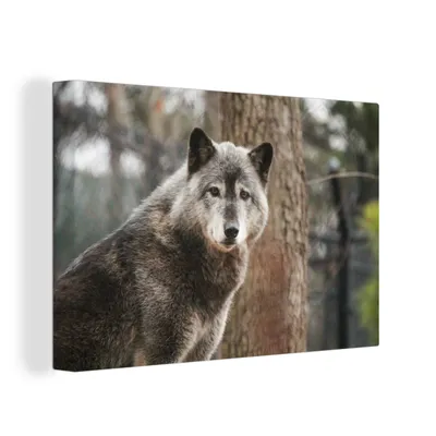 Produktbild von OneMillionCanvasses® - Leinwandbilder - 150x100 cm, Wolf - Wald - Baum, Wandbilder Kunstdruck Wanddekoration