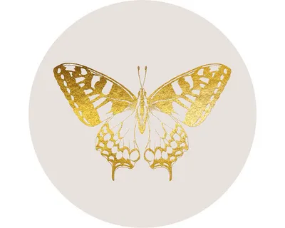 Produktbild von Glasbild Golden Butterfly GLR029 Ø 50 cm