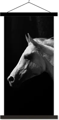Produktbild von MuchoWow® Textilposter Pferde - Tiere - Porträt 60x120 cm mit schwarzem Rahmen - Magnete