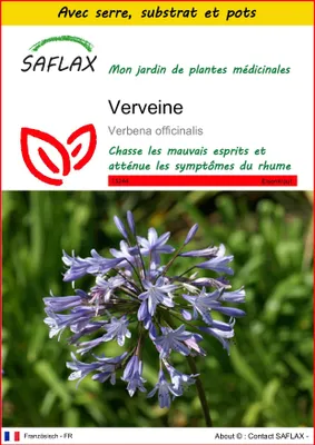 Image de SAFLAX Ensemble de culture - Verveine - 250 graines - Verbena