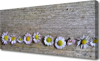 Produktbild von Tulup Leinwand-Bilder 125x50 Wandbild Canvas Kunstdruck Gänseblümchen Pflanzen