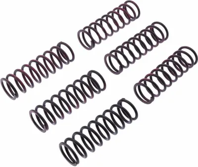 Immagine prodotto di Kit 6 molle frizione TRW MEF313-6 per BMW F