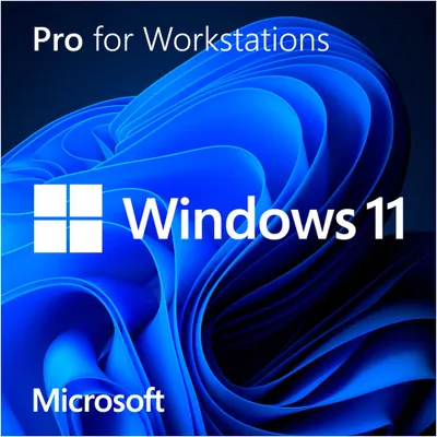 Productafbeelding van Microsoft Windows 11 Pro voor Workstations - Licentie - 1 stuk