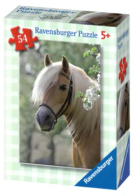 Produktbild von Minipuzzles Pferde 54 Teile