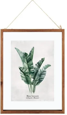 Obrázek produktu pro Listy Musa dřevěný rám 38x48cm