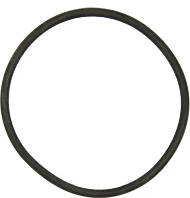 Produktbild von O-Ring Getriebeführung 4063110