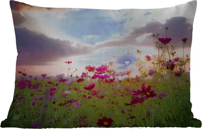 Produktbild von MuchoWow® Outdoor Kissen - Blumen - Rosa - Sonnenuntergang - Natur - Wiese - Horizont - 60x40 cm - Wetterfest - Lounge Kissen - Zierkissen - Kissen für Innenräume