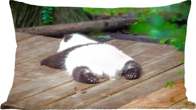 Produktbild von MuchoWow® Zierkissen Sofakissen Wohnzimmer Dekokissen 60x40 cm Tier - Panda - Schlafend - Kopfkissen - Polster mit Foto