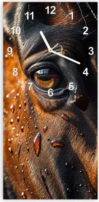 Produktbild von Wanduhr aus Glas mit Motiv Pferdeauge im Regen- 30 x 60 cm - inkl. Aufhängesystem