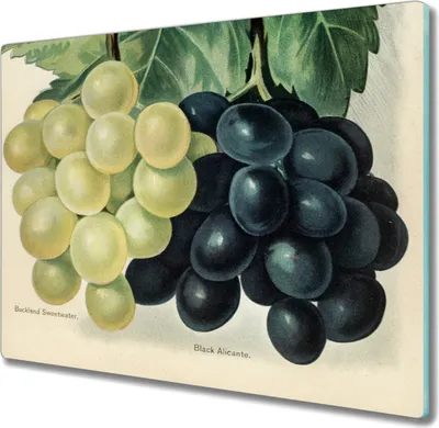Produktbild von Coloray Herdabdeckplatte 60x52 cm Schneidebrett Kochplattenabdeckung Küchenbrett Hackbrett - Obst Trauben Blätter