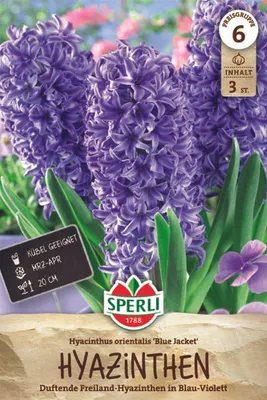 Productafbeelding van SPERLI Hyazinthe, blauw, Hyacinthus orientalis, 3 bollen