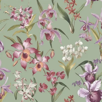 Produktbild von Rasch - Tapete "Maya", Floral AG2898 (10 m x 53 cm) (Salbeigrün)