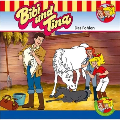 Produktbild von Bibi und Tina: Das Fohlen (Folge 1)