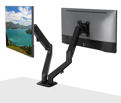 Immagine prodotto di Lindy 40708 LINDY Dual Mount Desktop Gasfederarm - Schwarz