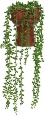 Obrázek produktu pro Zelená závěsná umělá popínavá rostlina 11x11x15,5 cm