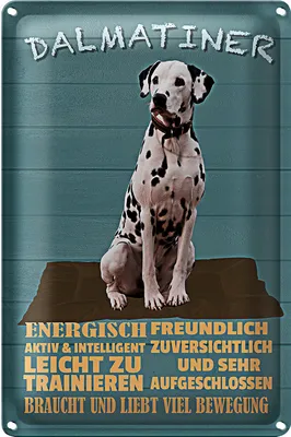 Produktbild von Blechschild Spruch 20x30cm Dalmatiner Hund energisch aktiv