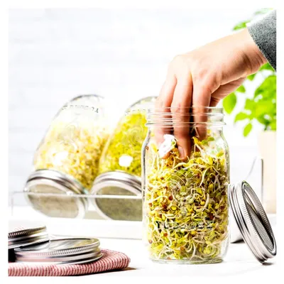 Produktbild von 2in1 Sprossenglas Set - Keimglas 100% plastikfrei - Vorratsglas Funktion durch zusätzlichen Deckel - Edelstahl - Einfaches Keimen durch Anleitung & speziell geformte Keimgläser