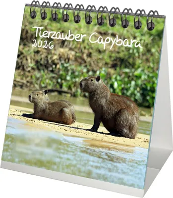 Produktbild von Tierzauber Capybara Tischkalender 10cm x 10cm für 2026 Schwein Schweinchen - Set-Inhalt: 1x Kalender 1x Weihnachtsanhänger 1x Grußanhänger (gesamt 3 Teile)