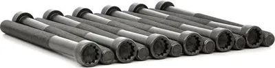 Produktbild von REINZ 14-32190-01 Zylinderkopfschraubensatz für VW Transporter V Bus (7HB, 7HJ, 7EB, 7EJ, 7EF, 7EG, 7HF, 7EC) M12