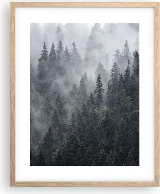 Produktbild von Gerahmtes Poster - Rahmen in heller Eiche - Wald Baum Natur - 40x50 cm - Wand Bild - Wanddeko - Wandbilder - Kunstposter - Wandposter - Bilderrahmen - Bilder - Kunstdruck - Wandbild - P2NPA40x50-4074