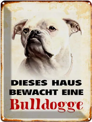 Produktbild von vianmo Blechschild 40x30 cm Hund dieses Haus bewacht eine Bulldogge