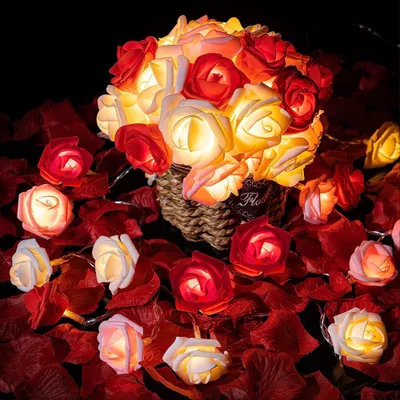 Produktbild von 3m LED Rose Lichterkette Batteriebetrieben Künstliche Blumen Beleuchtung für Hochzeit Valentinstag Party Deko, Rot & Weiß
