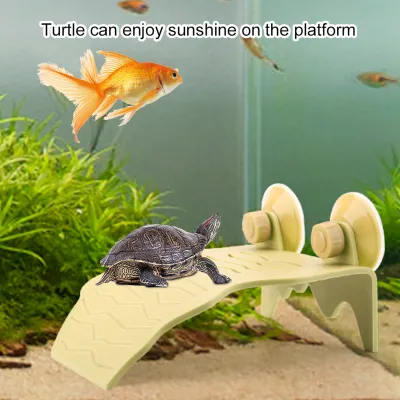 Image de Plate-forme de baignade pour tortue, île flottante pour tortue, île flottante à escalader, plate-forme de baignade pour tortue patristique, plate-forme de baignade pour tortue dans l'aquarium