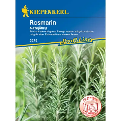 Produktbild von Rosmarin mehrjährig Kiepenkerl Kräutersamen