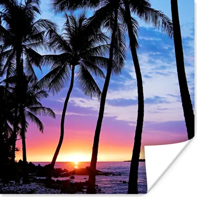 Produktbild von MuchoWow® Poster Eine Silhouette von Palmen während eines Sonnenuntergangs auf Hawaii 75x75 cm - Wand Dekoration