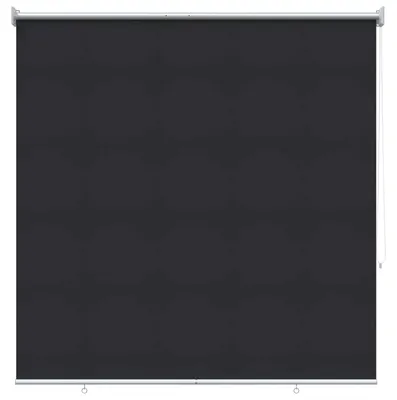 Image de Store vidaXL avec protection UV, anthracite, 120 x 140 cm, polyester