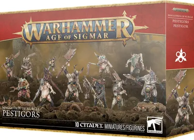 Produktbild von Warhammer Age of Sigmar Maggotkin of Nurgle Pestigors
