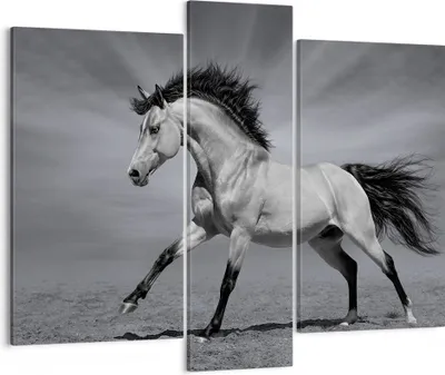 Produktbild von Bild auf Leinwand - Leinwandbild - Pferd Tier Natur - 95x80cm - Wand Bild - Wanddeko - Wandbilder - Leinwanddruck - Bilder - Kunstdruck - Wanddekoration - Leinwand bilder - Wandkunst - CB95x80-3608