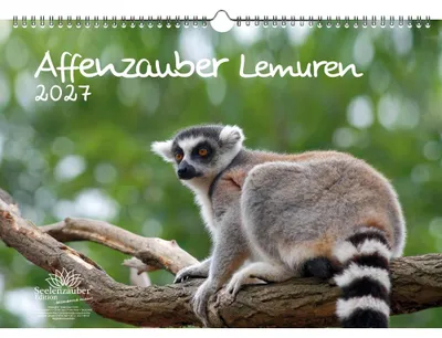 Produktbild von Affenzauber Lemuren DIN A3 Kalender für 2027 Affen - Seelenzauber