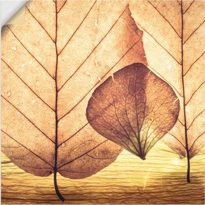 Produktbild von ARTland Wandbild, selbstklebend Losgelöst Größe: 30x30 cm