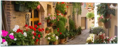 Produktbild von Bilder auf glas - Blume Straße Haus - 90x30cm - Glasbilder - Wandbilder - Kunstdruck - zum Aufhängen bereit - Wanddekoration aus Glas - Glas Bilder - Wandbild auf Glas - Einteilig - GAB90x30-3586