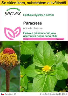 Obrázek produktu pro SAFLAX Kultivační sada - paracress - Acmella oleracea - 500 Semena - S mini skleníkem, pěstebním substrátem a 2 květináči