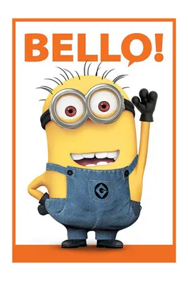 Immagine prodotto di Despicable Me - 2 - Bello - semplicemente incorreggibile Poster