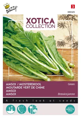 Image de Buzzy Xotica Amsoi vert graines - Environ 3 gr | Buzzy_080405