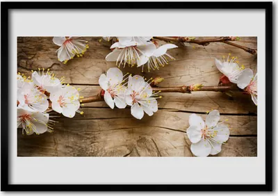 Produktbild von Bild 100x70 MDF-Rahmen Wandkunst Blumen Pflanzen Natur