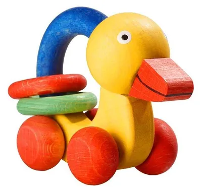 Image de Canard gras