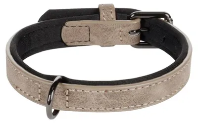 Image de Collier pour chien avec doublure néoprène