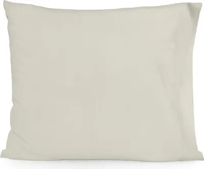 Image de HappyFriday BASIC housse de coussin Beige 15 x 1 x 38 cm