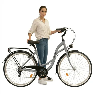 Produktbild von Dallas Bike Fahrrad 28 Zoll - Damenfahrrad - Shimano 7-Gang - Aluminium Rahmen M 18" - Grau