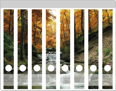Produktbild von Wallario Ordnerrücken Sticker, selbstklebend für schmale Ordner, 8 Stück, Motiv Kleiner Bach über Steine im Herbstwald