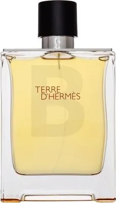 Obrázek produktu pro Hermès Terre D'Hermes toaletní voda pro muže 200 ml